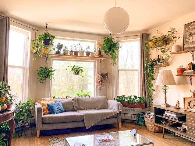 A living room with an assortment of indoor plants