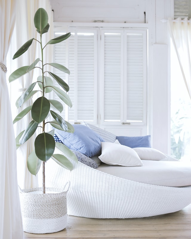 A bright room with a white sofa bed with various sized cushions and a potted plant on the side