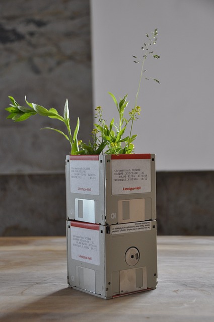 Old floppy disks turned into orchid planter