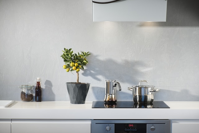 A tiny lemon tree in a grey pot on top of a kitchen counter
